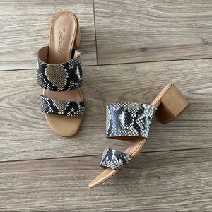 Madewell The Kiera Mule Sandal in Snake Embossed Leather